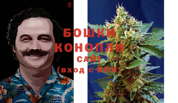MESCALINE Осинники