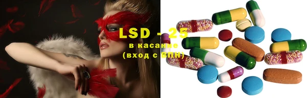 ПСИЛОЦИБИНОВЫЕ ГРИБЫ Баксан