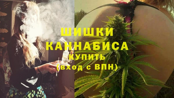 ПСИЛОЦИБИНОВЫЕ ГРИБЫ Баксан