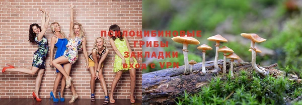 ПСИЛОЦИБИНОВЫЕ ГРИБЫ Осташков