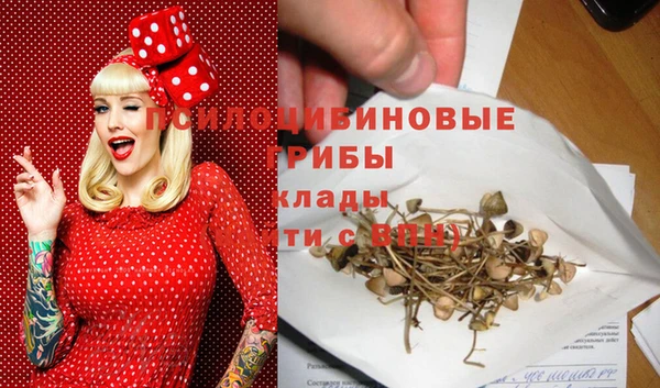 ПСИЛОЦИБИНОВЫЕ ГРИБЫ Баксан