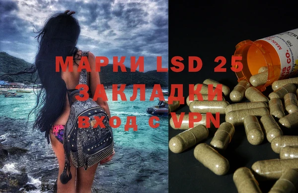 ПСИЛОЦИБИНОВЫЕ ГРИБЫ Баксан