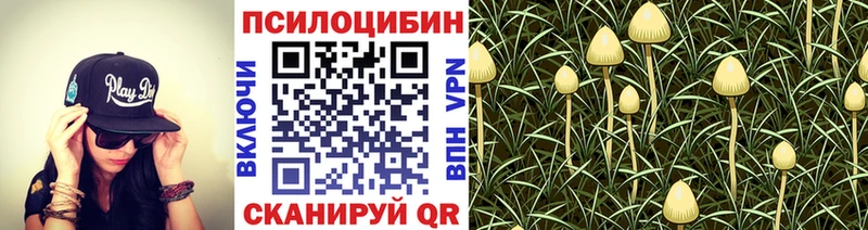 Псилоцибиновые грибы ЛСД  Энем 